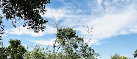 Terrain de l’hébergement 