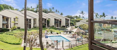 Pool view from the lanai.