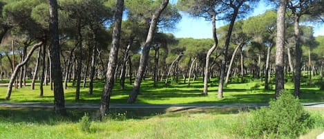 Parco della struttura