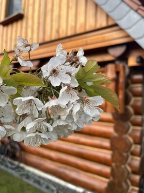 Detalj interiör