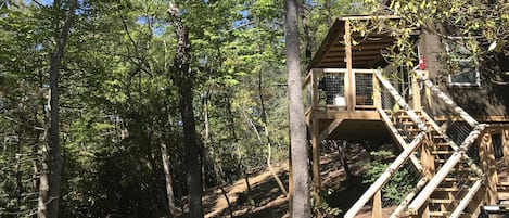 Tree House #3 in August. 