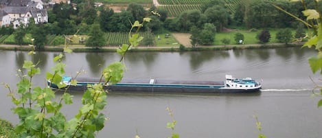 Unsere Mosel im Sommer