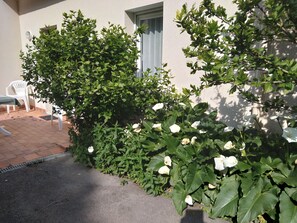 Detalj exteriör