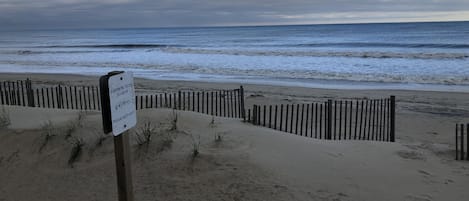 Strand