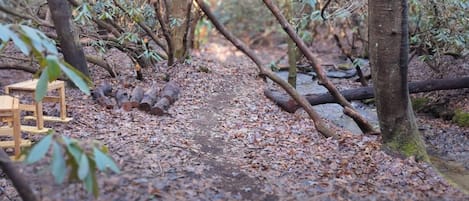 Walk creekside along the groomed trails. Enjoy morning coffee at seating areas.