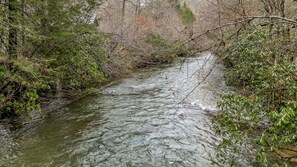 Well known Fighting Town Creek, Trophy Trout Stream