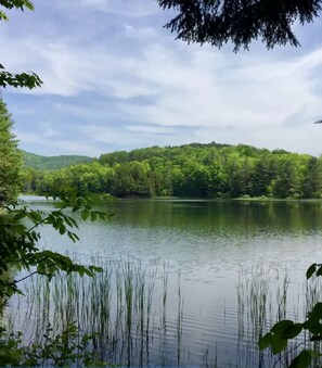 Macintosh Pond