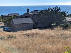 Pacific Pearl from a trail behind the house. (and that's a whale breaching!)