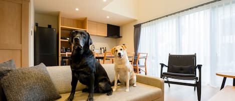[Going out with your dog/Building D] Pet-friendly rooms can be used with dogs
