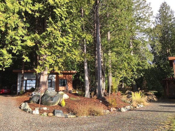 Cabin surrounded by big cedar trees