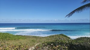 Surfers beach 