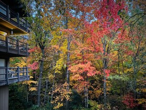 TREETOP LIVING | You'll feel like you're staying in a treehouse!