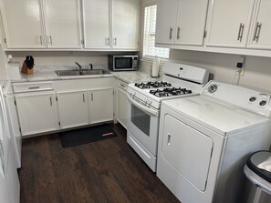 Kitchen Area and Appliances 