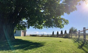 Fenced in backyard