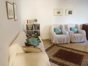 living room with two sofa and library