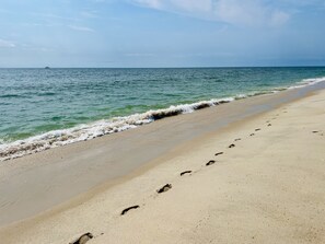 More beach, we'll add the house pix when the update is complete.