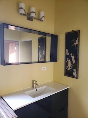 Close up of sink and mirror.