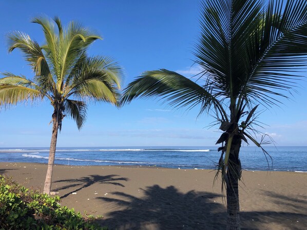 Grande plage de sable noir de La Réunion