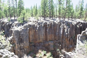 Kaibab National Forest