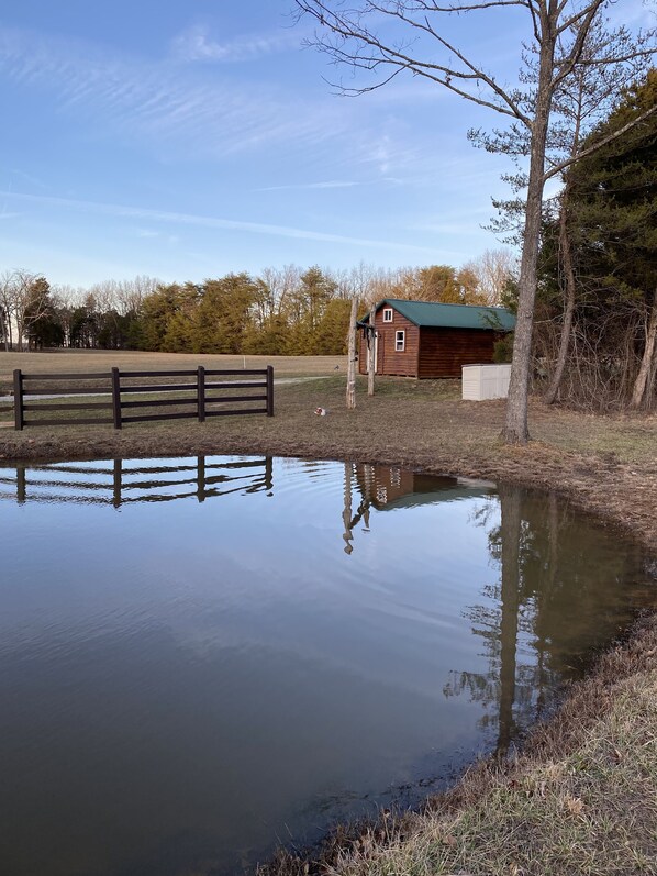 Stocked pond near cabin