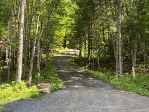 Terrain de l’hébergement 