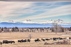 Cascades Ranch | Surrounding Scenery