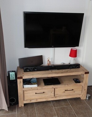 Television