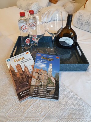 Visit Gent and Brugge