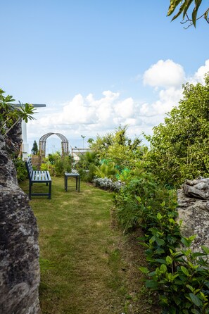 Trädgård
