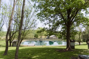 View of the pond from under the shade trees.