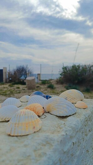 Εξωτερικός χώρος καταλύματος