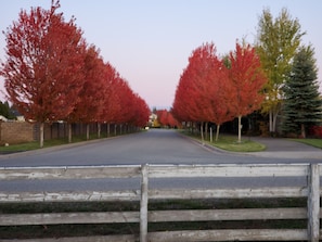 Cross The Street - River View Street