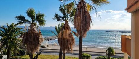 Water, Sky, Plant, Daytime, Azure, Tree, Shade, Coastal And Oceanic Landforms, Arecales, Beach