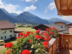 Haus Schedle Ferienwohnung