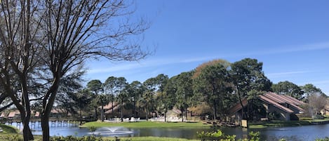 View from the back patio as well as inside the villa looking at lake & pool.