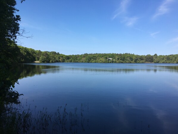 Overnatningsstedets område