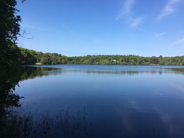 Picture Lake