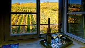 From the living room, beautiful view of the Alsace grand cru Schoenenbourg vineyard.