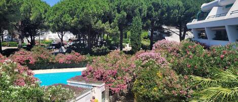 Vu de la terrasse
Résidence calme et sécurisée 