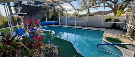 Solar heated caged pool with garden, heater, umbrella, nite lights, pool floats