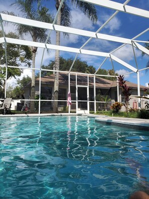 solar heated pool with gas heater backup surrounded by palm trees