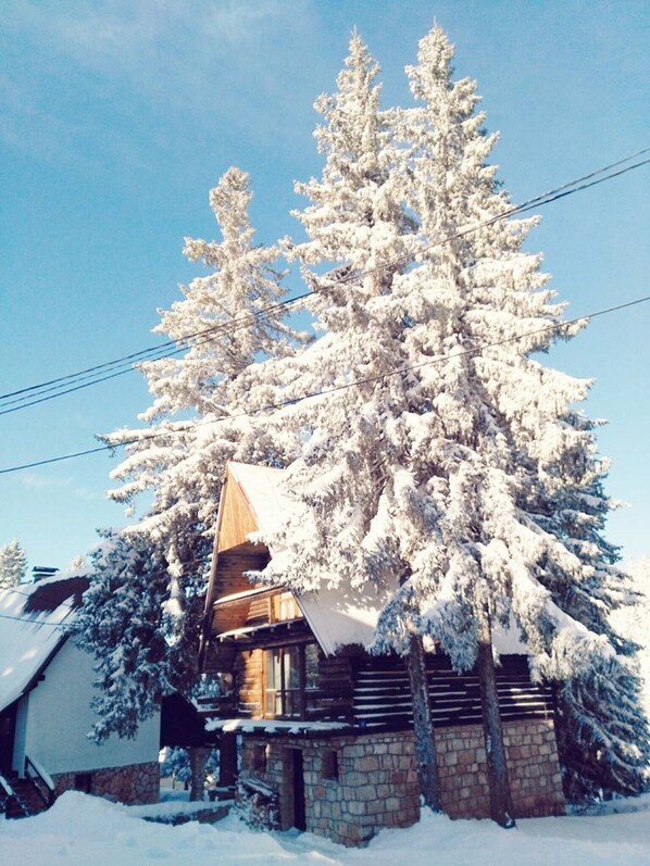 Exteriör