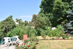 Garden [summer]
