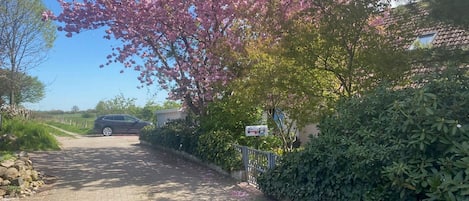 Ferienwohnung mit Gartenblick