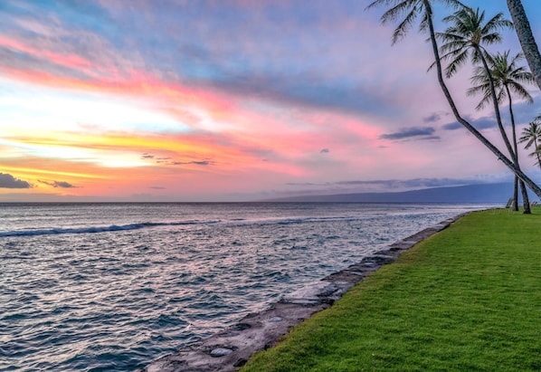 Gorgeous sunsets are the perfect end to your day PKC-404