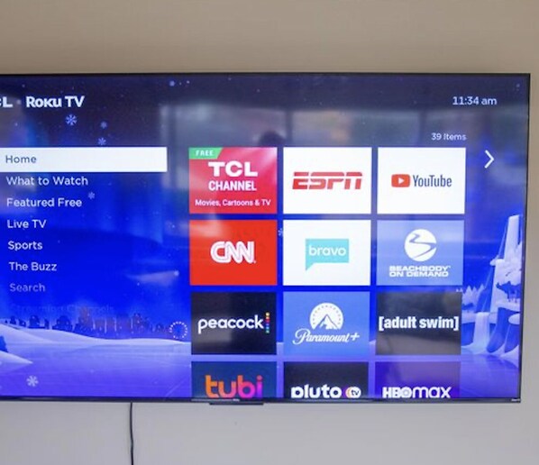 Fernseher