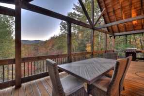 Main level porch