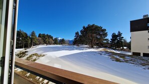 Terrain de l’hébergement 