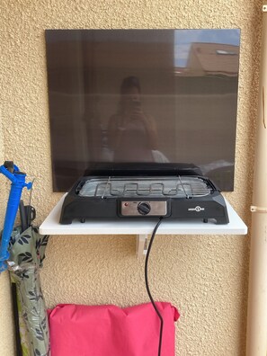 Television