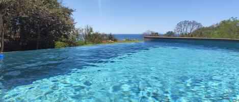 Vue océan Pacifique de la piscine à débordement, bordée de manguiers et palmiers